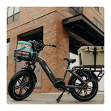 Cargo Electric Bike