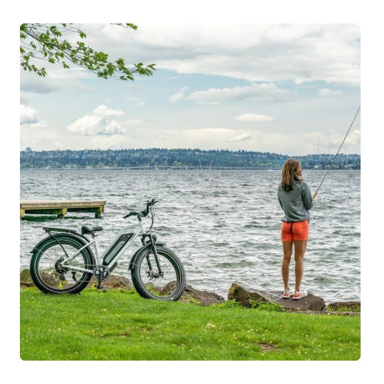 Himiway Cruiser Electric Bike