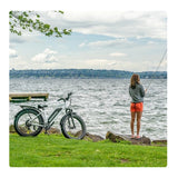 Himiway Cruiser Electric Bike