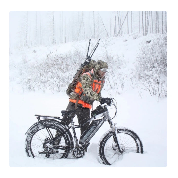 Himiway Cruiser Electric Bike