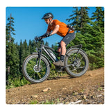 Himiway Cruiser Electric Bike