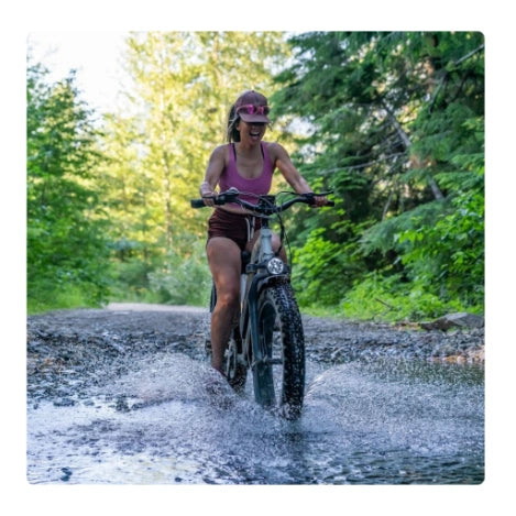 Himiway Cruiser Electric Bike