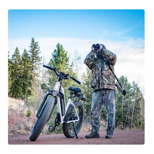 Himiway Cruiser Electric Bike