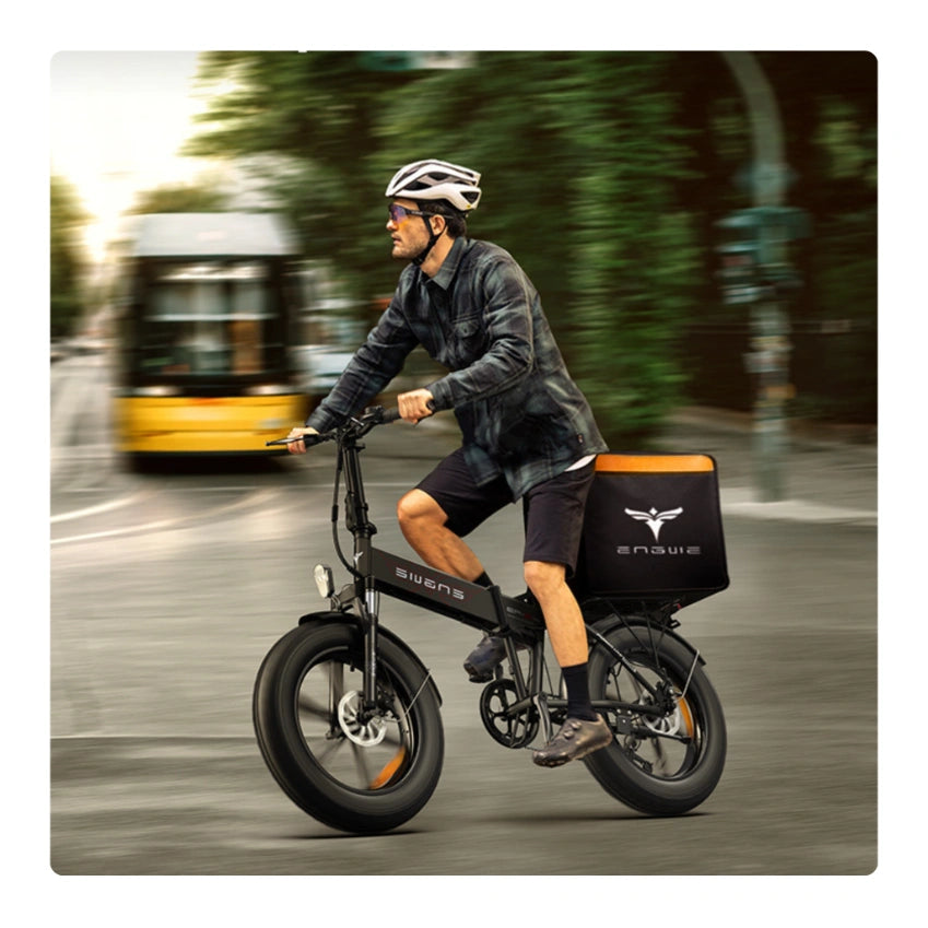 EP2 Pro Folding E-Bike