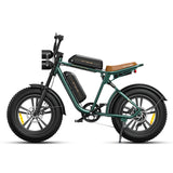 Engwe M20 Electric Bike 750W - Stick a Tree