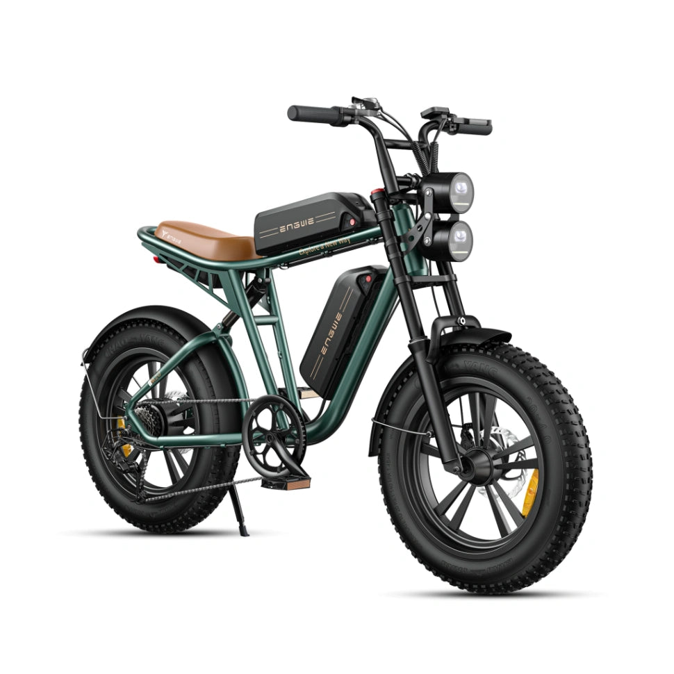 Dual Battery Electric Bike