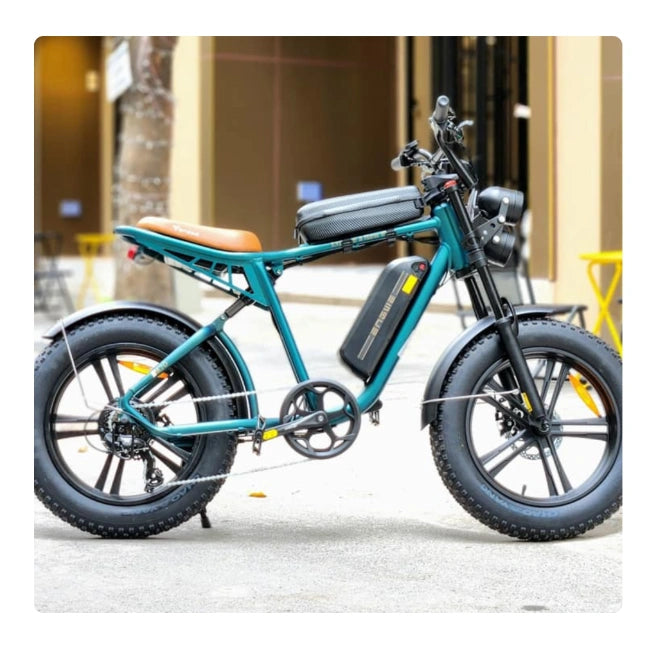 Dual Battery Electric Bike