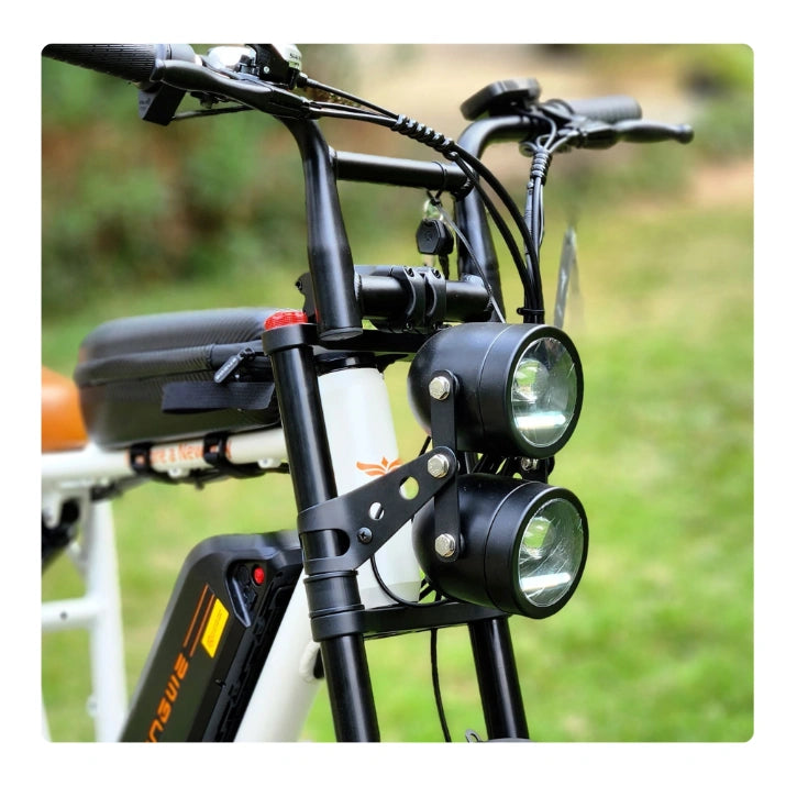 Dual Battery Electric Bike