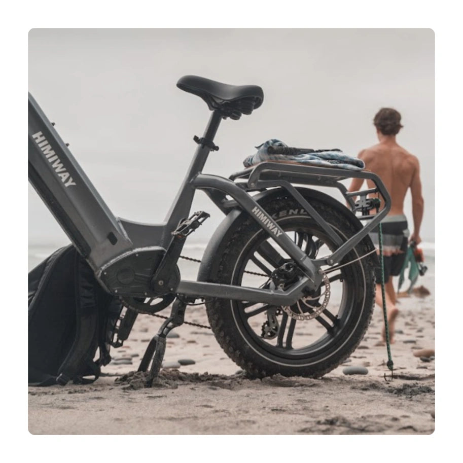 Stick a Tree Electric Bikes Himiway Big Dog