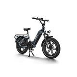 Cargo Electric Bike