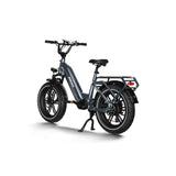 Cargo Electric Bike