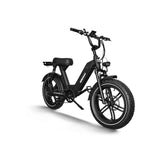 Himiway Escape Pro E-Bike